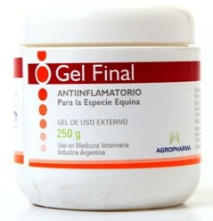 GEL FINAL