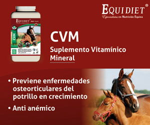 CVM