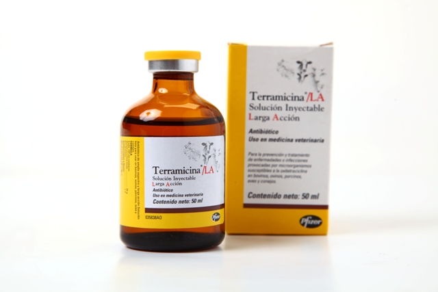 TERRAMICINA LA 50 ML