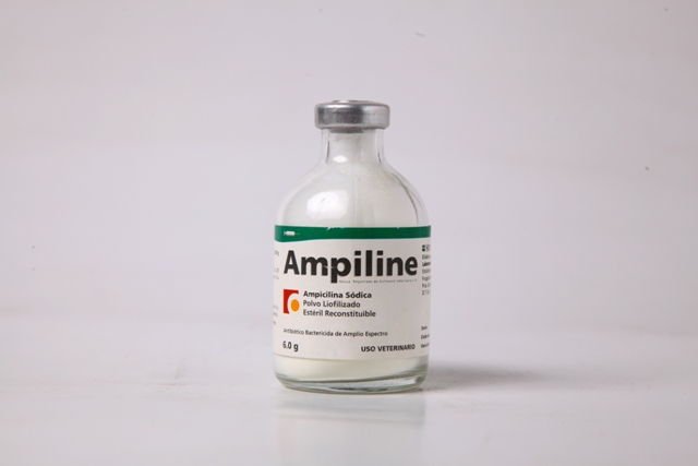 AMPILINE