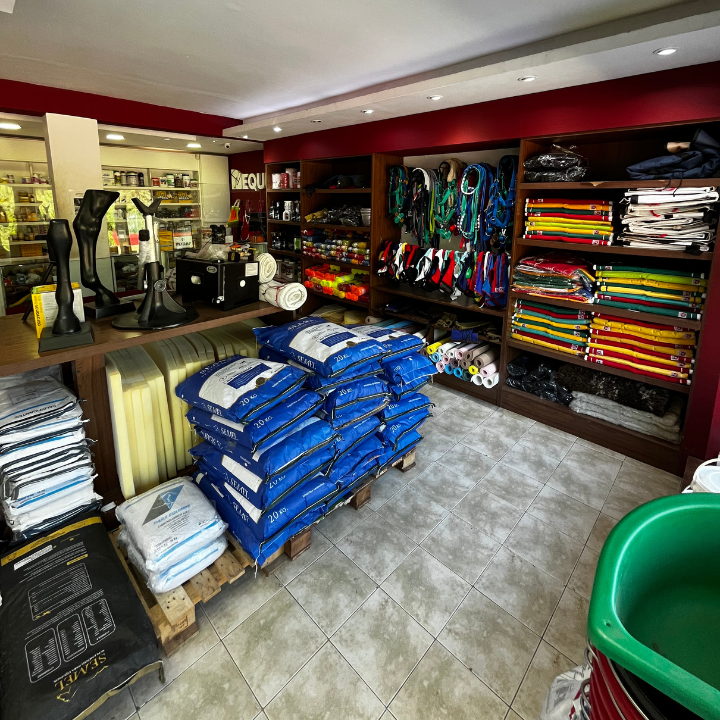 salud y belleza equina